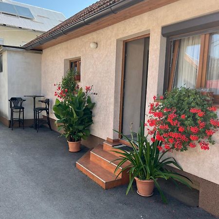 Apartman Anna Ogulin Zewnętrze zdjęcie